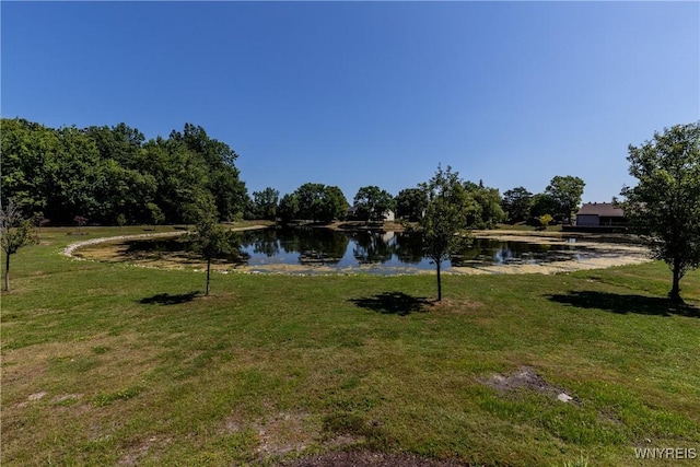 7 Hummingbird Ln, Amherst, NY 14228 - photo 4