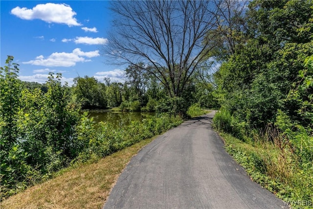 7 Hummingbird Ln, Amherst, NY 14228 - photo 6