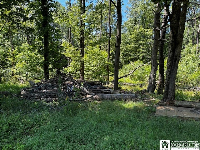 8933 Scandia Rd, Elk Twp, PA 16345 - photo 9