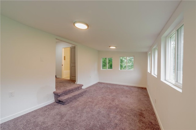 1456 E River Rd, Brighton, NY 14623 - photo 25