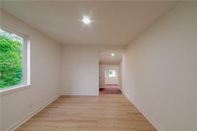 1456 E River Rd, Brighton, NY 14623 - photo 12