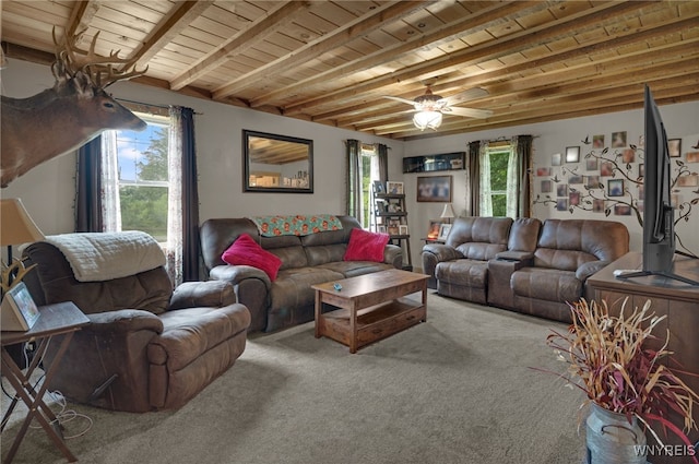 4 W Malloryville Rd, Dryden, NY 13068 - photo 14