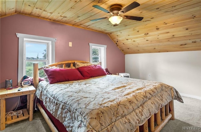 4 W Malloryville Rd, Dryden, NY 13068 - photo 29
