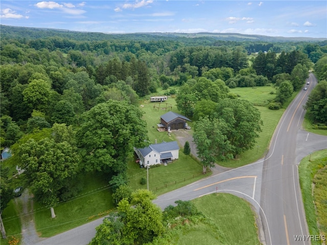 4 W Malloryville Rd, Dryden, NY 13068 - photo 42