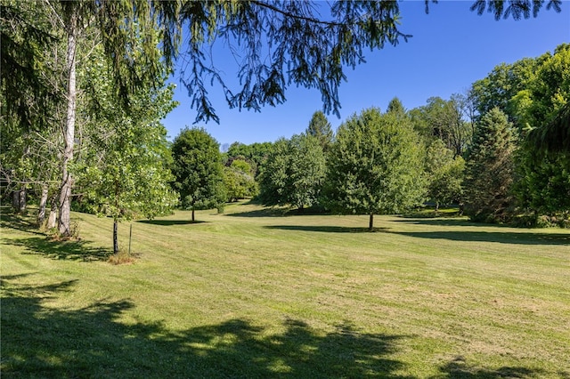 7587 Trotwood Ln, Victor, NY 14564 - photo 35