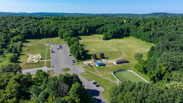 7587 Trotwood Ln, Victor, NY 14564 - photo 44