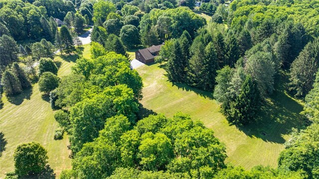 7587 Trotwood Ln, Victor, NY 14564 - photo 37