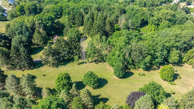 7587 Trotwood Ln, Victor, NY 14564 - photo 40