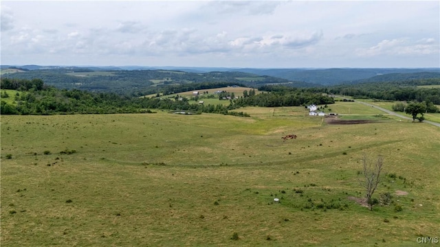 7444 County Route 112, Tuscarora, NY 14801 - photo 7