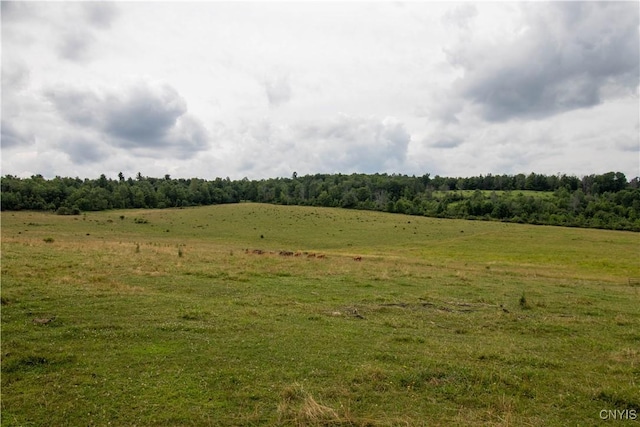 7444 County Route 112, Tuscarora, NY 14801 - photo 42