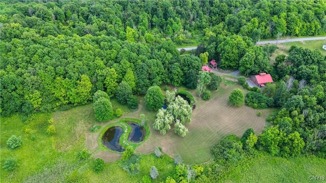 36523 Pulpit Rock Rd, Antwerp, NY 13608 - photo 45