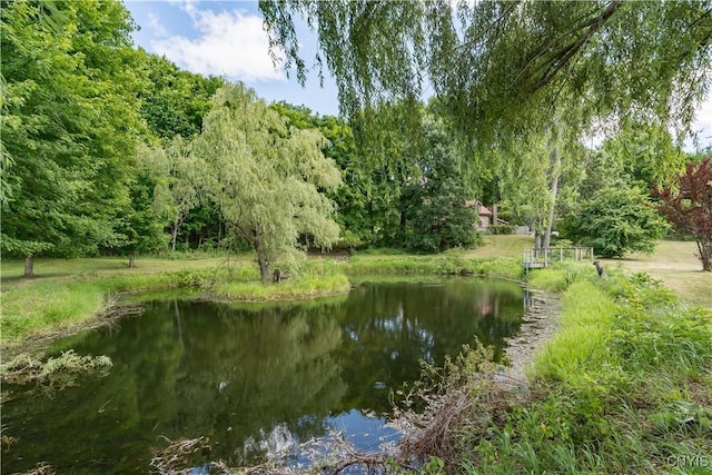 36523 Pulpit Rock Rd, Antwerp, NY 13608 - photo 44