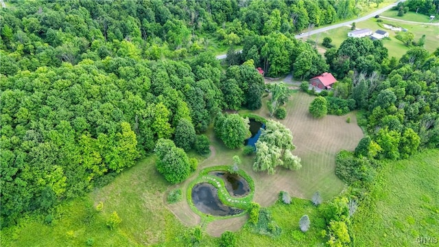 36523 Pulpit Rock Rd, Antwerp, NY 13608 - photo 6