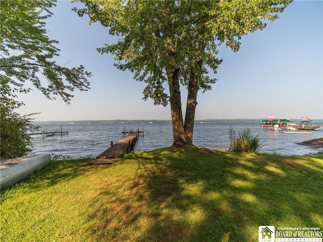 6002 Whallon Aly, Chautauqua, NY 14757 - photo 5