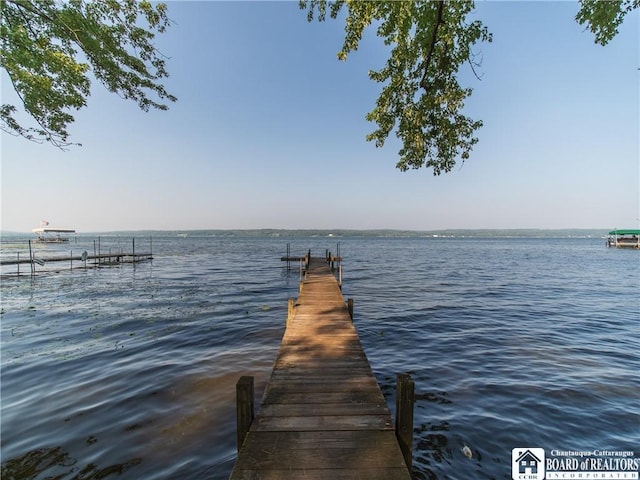 6002 Whallon Aly, Chautauqua, NY 14757 - photo 6