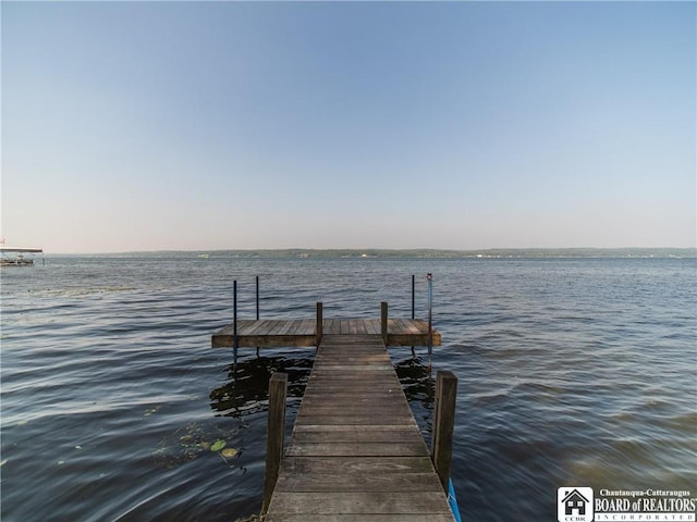 6002 Whallon Aly, Chautauqua, NY 14757 - photo 28
