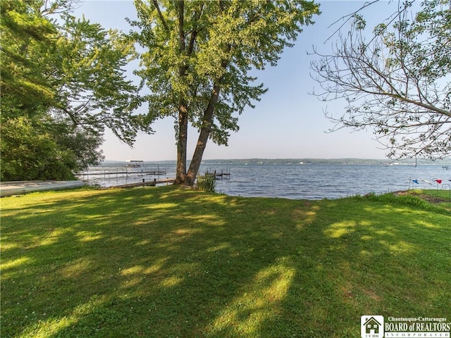 6002 Whallon Aly, Chautauqua, NY 14757 - photo 29