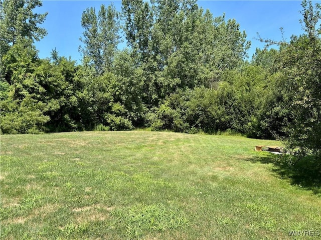 2645 Hess Rd, Newfane, NY 14008 - photo 16