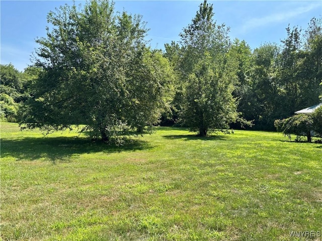 2645 Hess Rd, Newfane, NY 14008 - photo 18