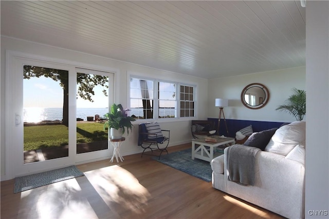 22341 Luff Shores Ln, Lyme, NY 13693 - photo 15