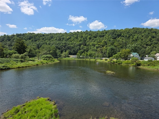 971 Dug Rd, Deposit, NY 13754 - photo 2