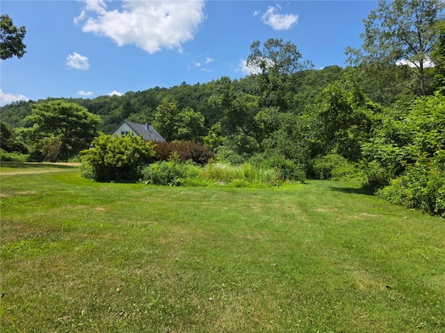 971 Dug Rd, Deposit, NY 13754 - photo 8