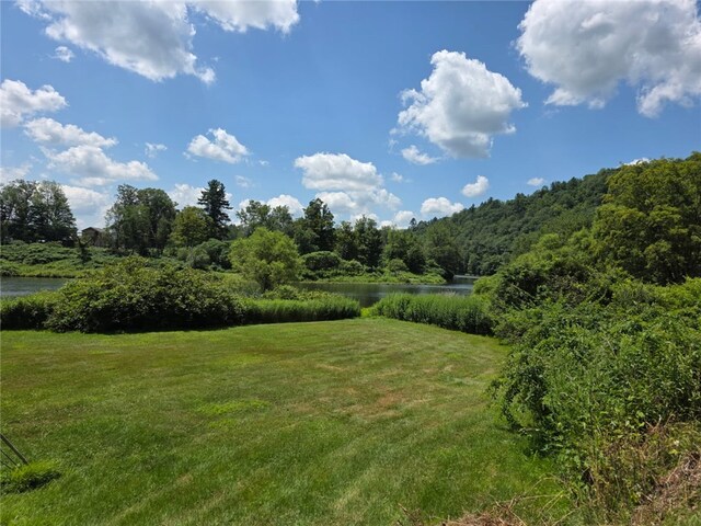 971 Dug Rd, Deposit, NY 13754 - photo 12