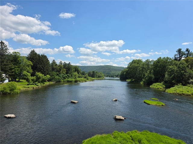971 Dug Rd, Deposit, NY 13754 - photo 50