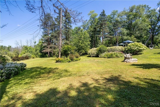 4465 Makyes Rd, Onondaga, NY 13215 - photo 39