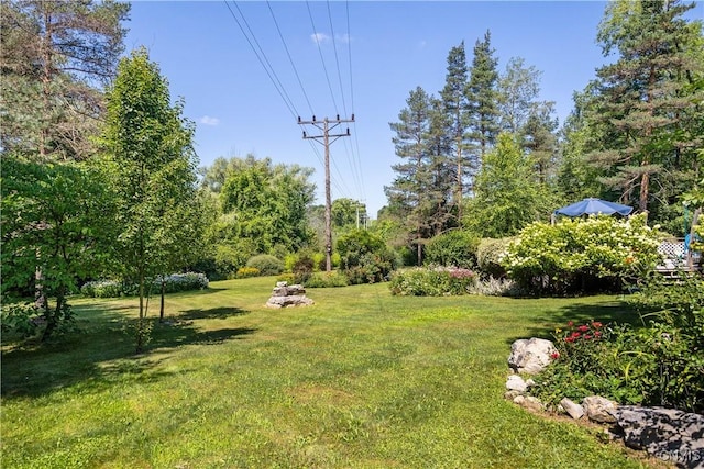 4465 Makyes Rd, Onondaga, NY 13215 - photo 41