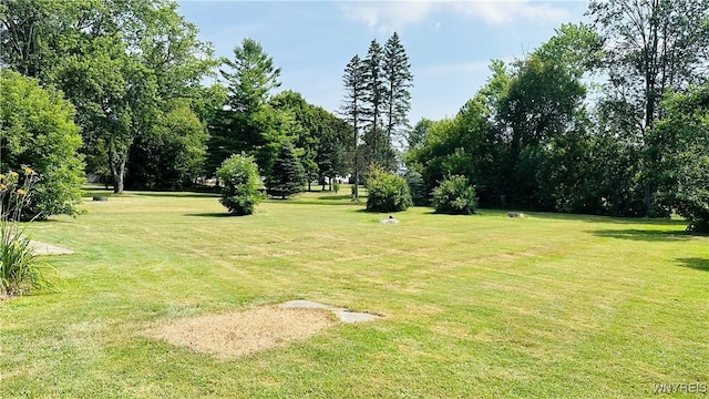 5905 Garlow Rd, Lewiston, NY 14304 - photo 4