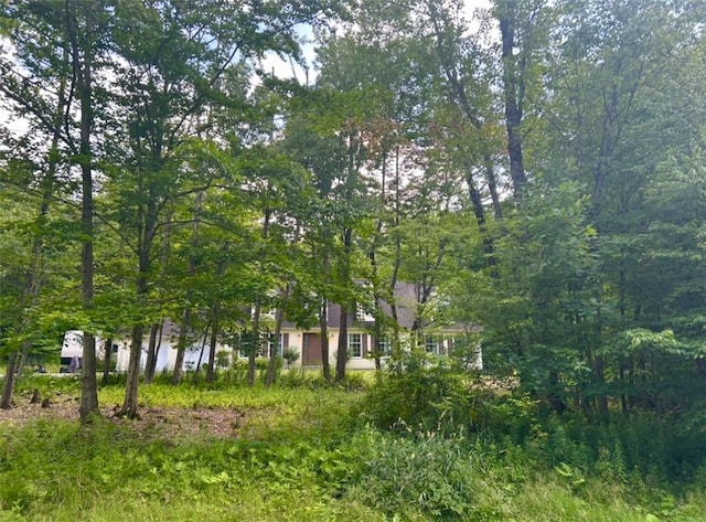 262 Serenity Dr, Norwich, NY 13815 - photo 2