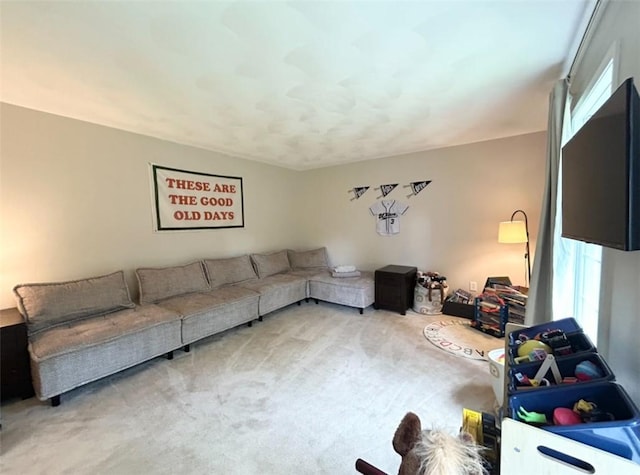 262 Serenity Dr, Norwich, NY 13815 - photo 21