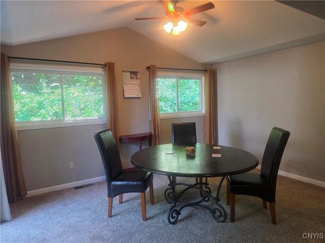 2521 Bellevue Ave, Syracuse, NY 13219 - photo 10