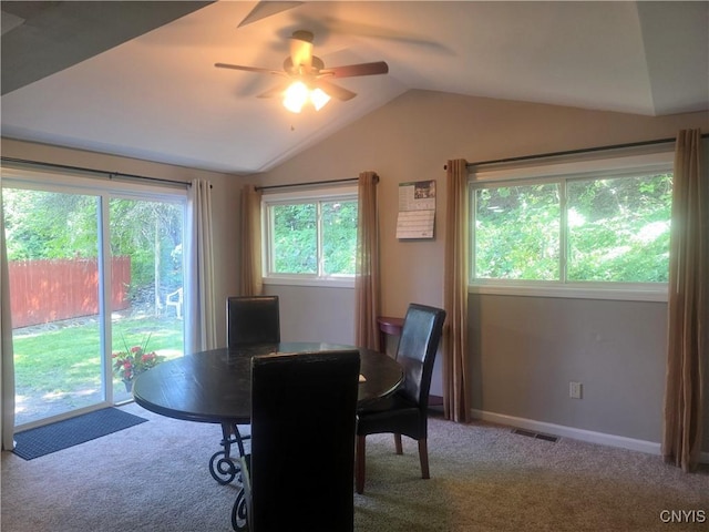 2521 Bellevue Ave, Syracuse, NY 13219 - photo 12