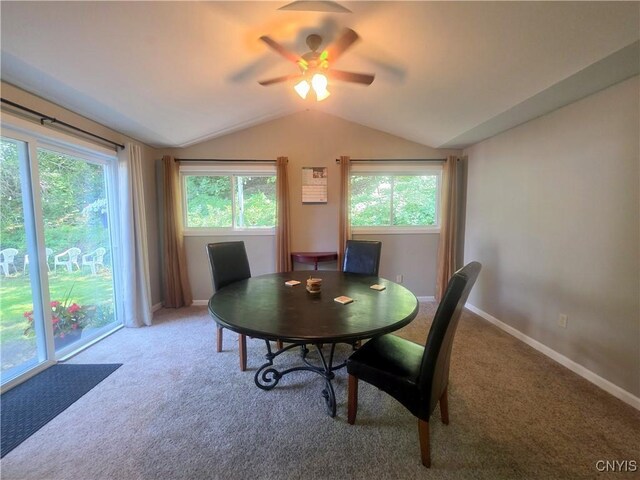 2521 Bellevue Ave, Syracuse, NY 13219 - photo 13