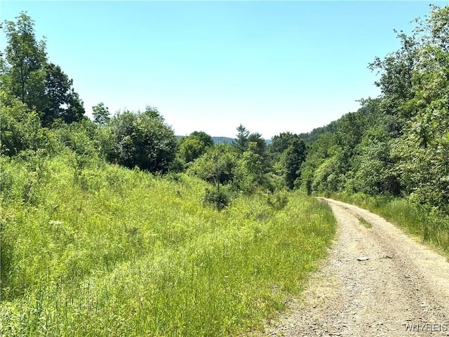Gile Hollow Rd, Hinsdale, NY 14743 - photo 1