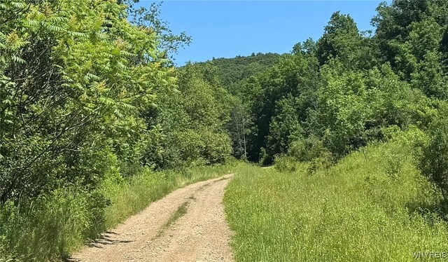 Gile Hollow Rd, Hinsdale, NY 14743 - photo 4
