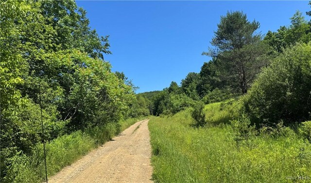Gile Hollow Rd, Hinsdale, NY 14743 - photo 5