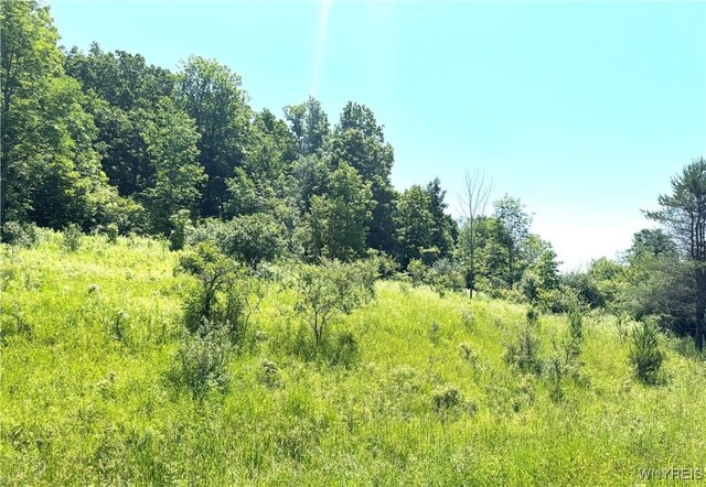 Gile Hollow Rd, Hinsdale, NY 14743 - photo 9