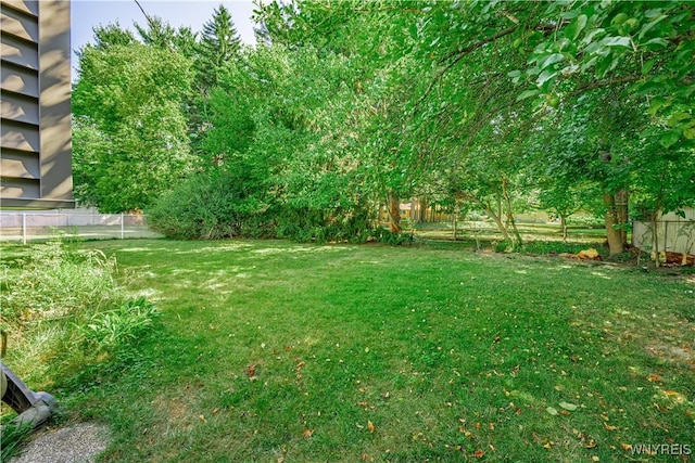 331 Sherbrooke Ave, Amherst, NY 14221 - photo 26