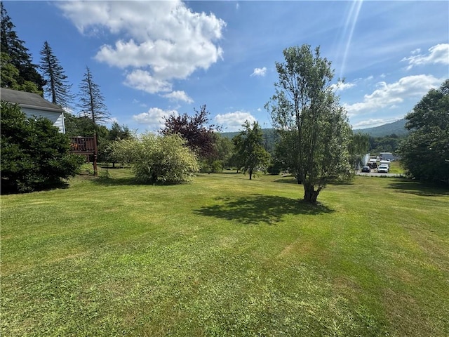 26 Race St, Bradford City, PA 16701 - photo 37