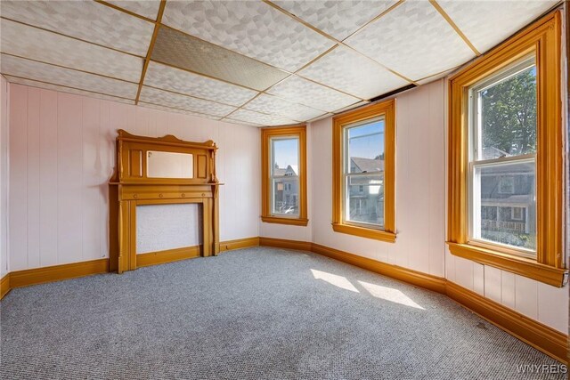 520 Woodlawn Ave, Buffalo, NY 14208 - photo 19