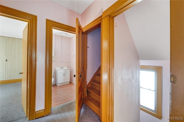 520 Woodlawn Ave, Buffalo, NY 14208 - photo 23