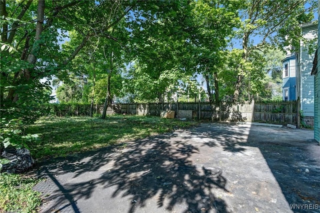520 Woodlawn Ave, Buffalo, NY 14208 - photo 36