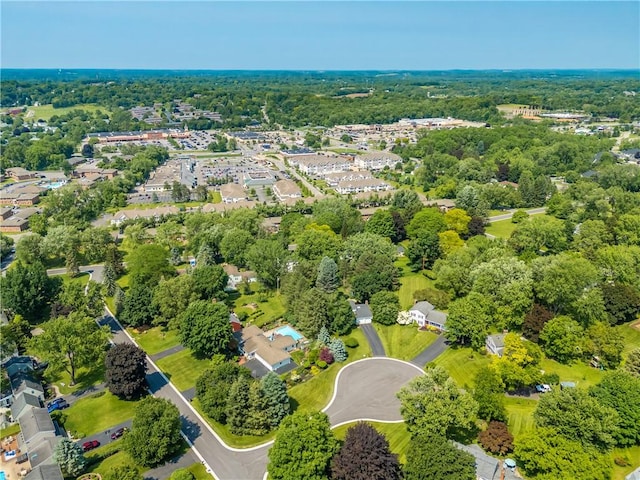 6 Wellington Cir, Perinton, NY 14450 - photo 49
