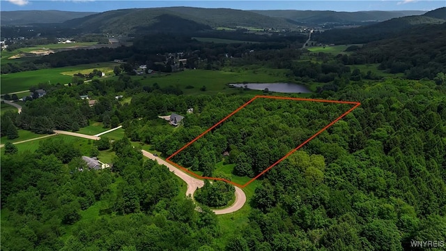 4456 Courtney Highland Dr, Great Valley, NY 14741 - photo 5