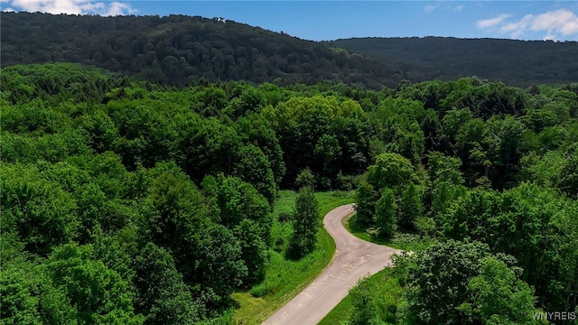 4456 Courtney Highland Dr, Great Valley, NY 14741 - photo 1