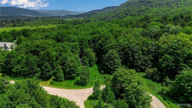 4456 Courtney Highland Dr, Great Valley, NY 14741 - photo 3
