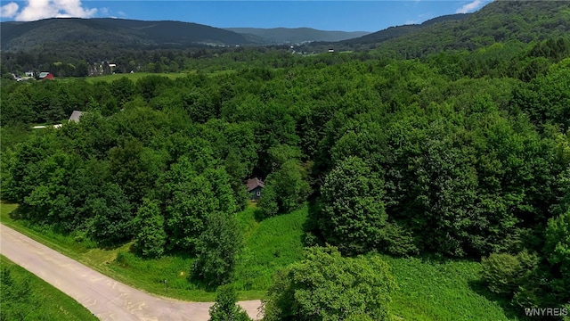 4456 Courtney Highland Dr, Great Valley, NY 14741 - photo 4